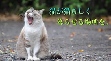 猫が猫らしく暮らせる場所を。