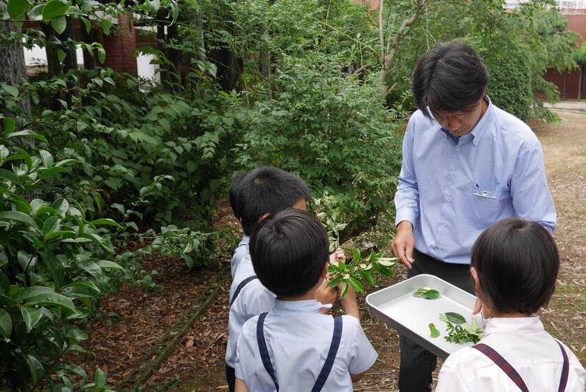 積水ハウス、横浜市の小学校の環境教育支援に向けて
環境教育出前講座へ参画