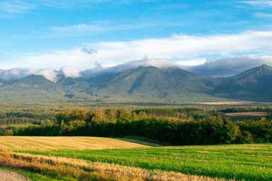 一面に自然や畑が広がる富良野の風景。