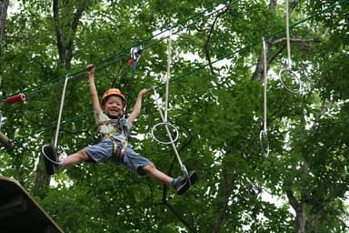 小さな子どもでも楽しい