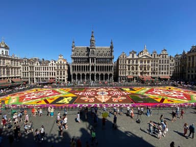 Brussels Flower Carpet 2022