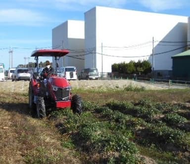 休耕地にて薬用植物を自社栽培