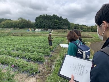 有機農家に自然農法について教わる