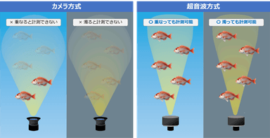 カメラと超音波の違い