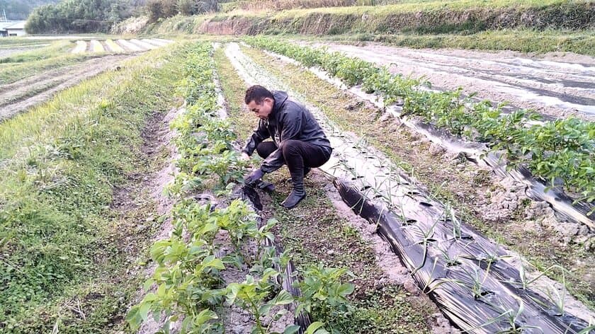 熊本県山鹿市の鉄板料理が特徴の「いかづち食堂」、
月間来店数が従来の12倍となる946名を達成