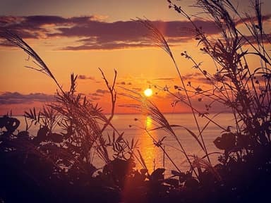 西伊豆海底熟成海域の夕陽2