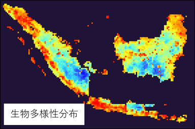 生物多様性分布