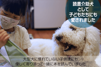 読書介助犬として