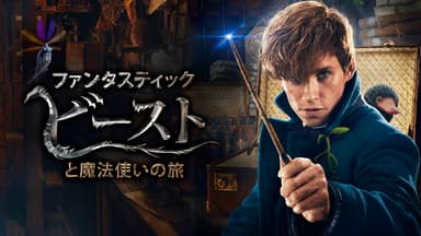 (C) 2022 Warner Bros. Entertainment Inc. 　Harry Potter and Fantastic Beasts Publishing Rights (C) JKR