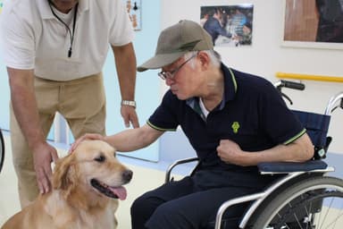 犬にさわりたいから動く