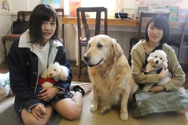 犬カフェ カタノダプラス休業