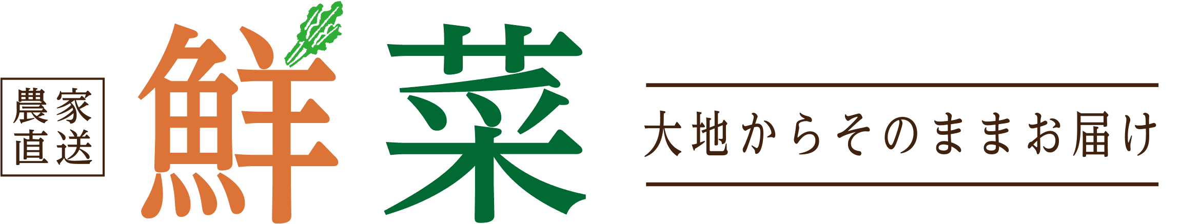 生産者をサポートする産地直送通販サイト「鮮菜」　
新規商品取り扱い開始！！