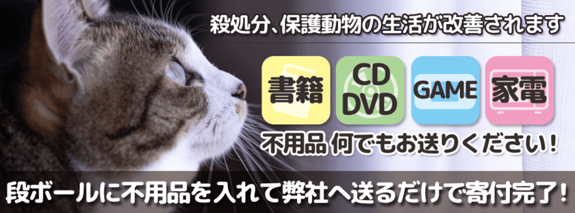 動物保護団体支援の「みんなのきふ」事業開始1年　
2022年度は総支援件数668件・総支援額5,447,077円を達成！