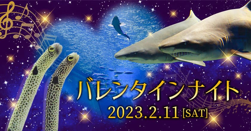 アクアワールド・大洗で
“癒しとときめきがいっぱい”の特別な夜を過ごそう　
「バレンタインナイト」2月11日(土・祝)開催
〈 https://www.aquaworld-oarai.com/2023/01/12/vd2023 〉