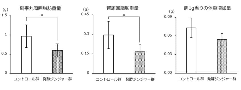 「発酵ジンジャーエキスパウダー」で
内臓脂肪蓄積抑制効果を確認