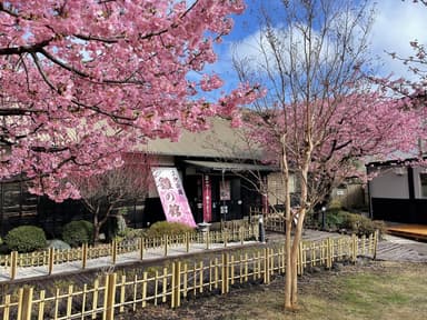 文化公園雛の館外観