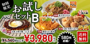 お試しセットB