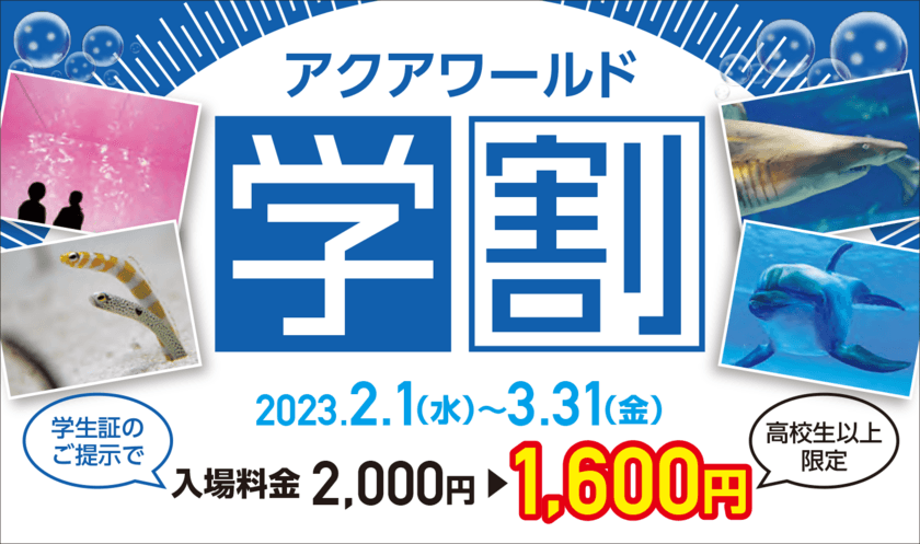 アクアワールド・大洗が学生の思い出作りを全力応援！
期間限定キャンペーン『アクアワールド学割』
2月1日(水)から今年もスタート！
