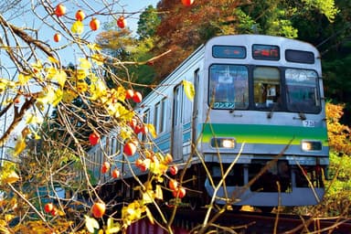 7500系車両　イメージ