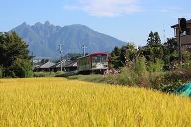 南阿蘇鉄道と根子岳