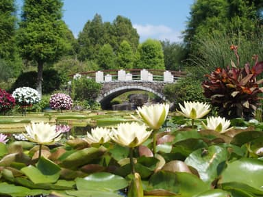 水生植物公園みずの森