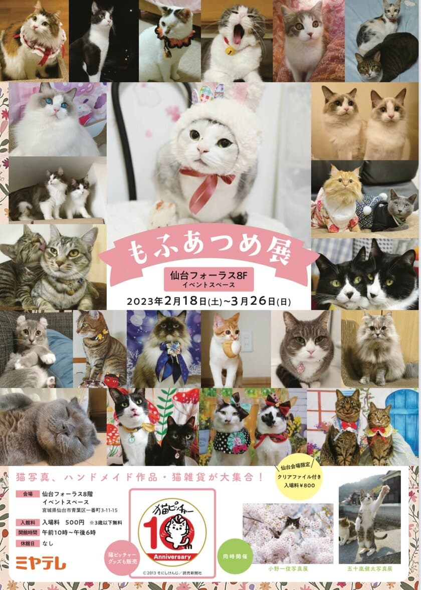 猫写真展「もふあつめ展」が宮城県の仙台フォーラスで
2月18日(土)～3月26日(日)に開催！
猫写真や猫作品約600点が大集合