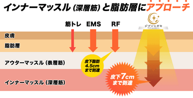 インナーマッスルと脂肪層に効果