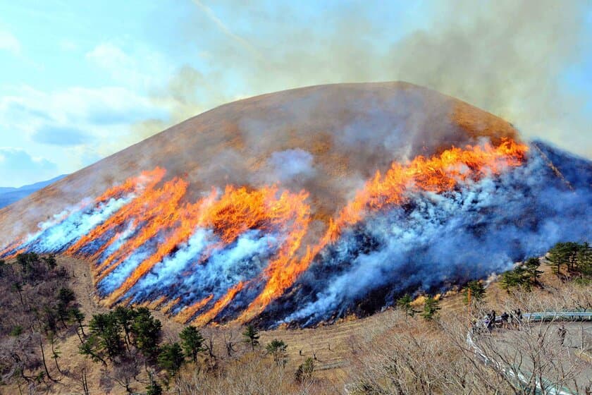 一年に一度しか見られない！
伊東の春の風物詩「大室山山焼き大会」2月12日(日)開催