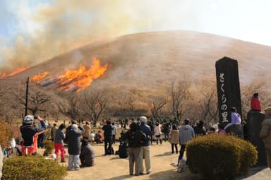 全山焼き