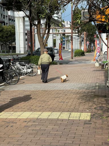 高齢になっても犬と暮らし続ける