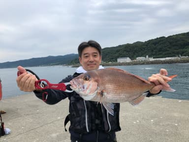 趣味の海釣り