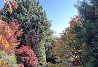 藤屋御本陣からの景色