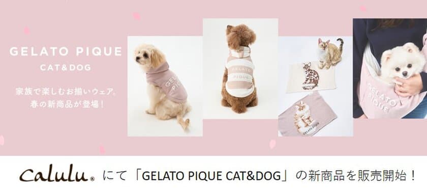 “ジェラート ピケ”で愛するペットとお揃いウェア！
Caluluにて「GELATO PIQUE CAT&DOG」の新商品を販売開始！