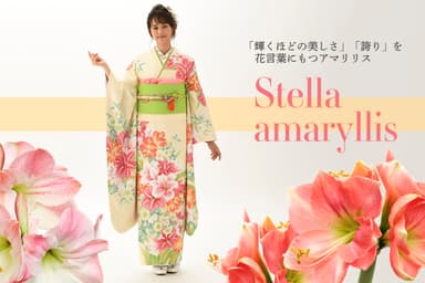 京都豊匠花柄振袖_ステラアマリリス_日比谷花壇