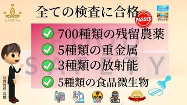 全ての安全検査をクリア