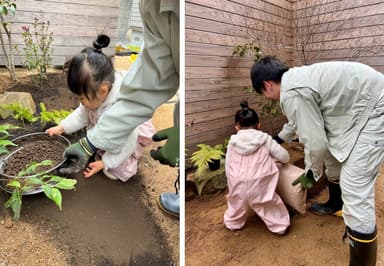 ご両親の樹の下にヒメシャリンバイを植樹する長女のE様