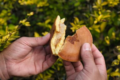 もちもち生地にたっぷり餡(やくどら)