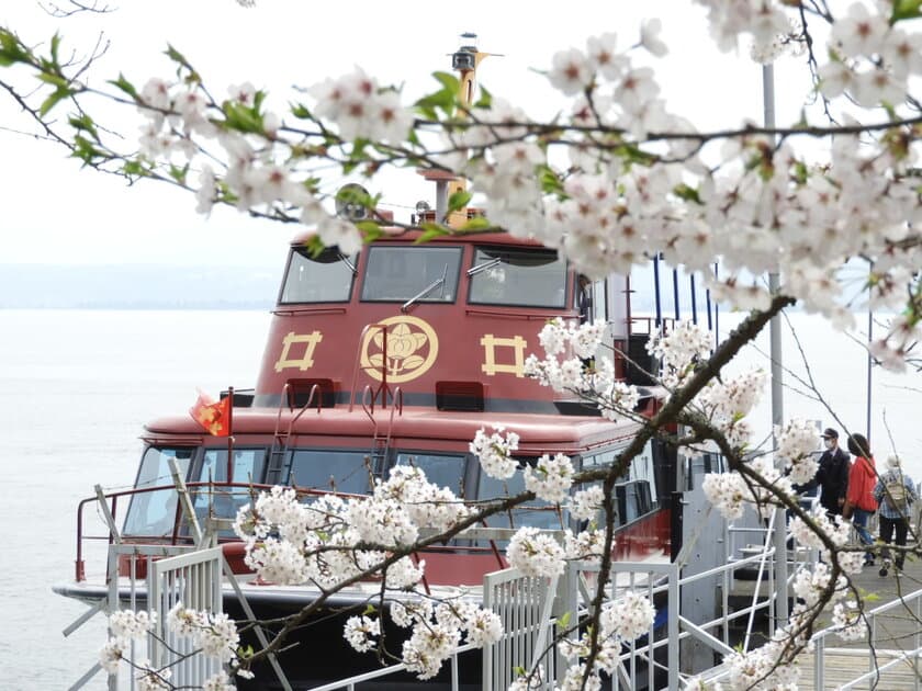 日本のさくら名所100選の「海津大崎」へのお花見クルーズを
4月1日(土)から4月16日(日)の期間限定で運航開始！