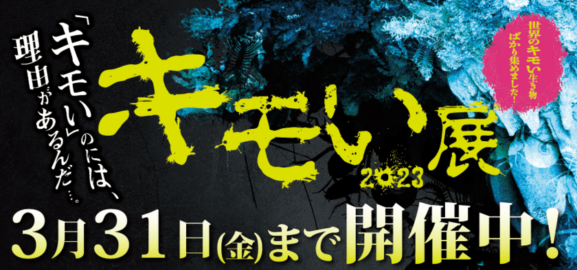 鳥肌総立ち！累計来場者数50万人を突破した
大人気イベント「キモい展」が千葉市へやってきた

「キモい」のには、理由があるんだ・・・
『キモい展2023』　3月31日(金)まで開催中！
会場：フェスティバルウォーク蘇我2F 特設会場(Life zoo内)