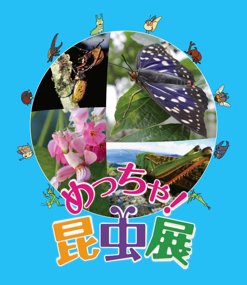 2月16日(木)より「めっちゃ！昆虫展」前売券販売開始
めっちゃ！おトク情報 　昆虫展入場券はひらパー入園特典付き！