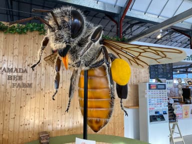 二ホンミツバチの模型（ｃ）山田養蜂場みつばち農園