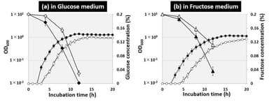図３．グルコース培地およびフルクトース培地における大腸菌野生株とflhD欠損株の生育曲線と培地中の糖濃度の観察結果。