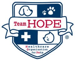 一般社団法人Team HOPE 広報事務局