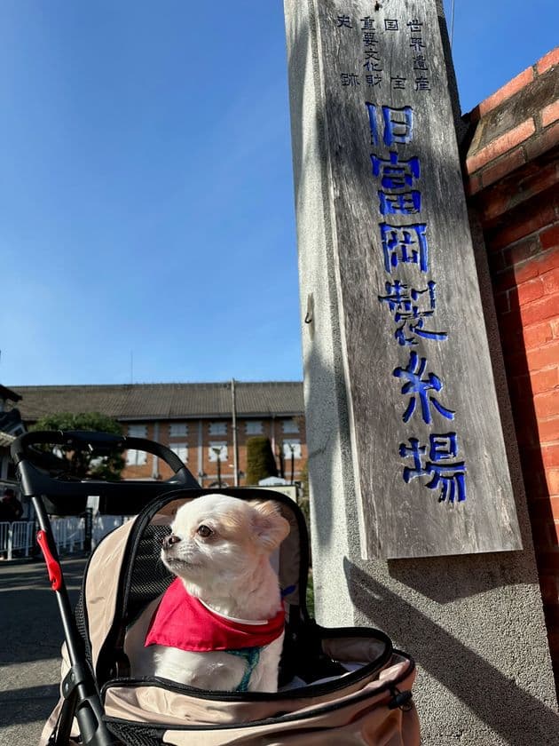 世界文化遺産・国宝の富岡製糸場で
「ペットとの同伴入場が可能に」3月1日に開始