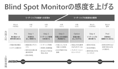 BLIND SPOT概要