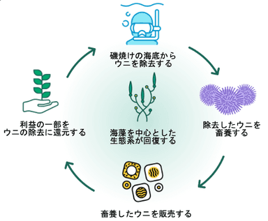 ウニノミクス　事業モデル