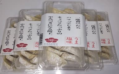 「太宰府ぎょうざ　うま塩味」商品画像