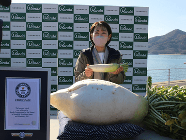 通常の大根との比較