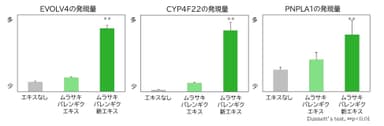 『ムラサキバレンギク新エキス』添加による遺伝子発現量の変化