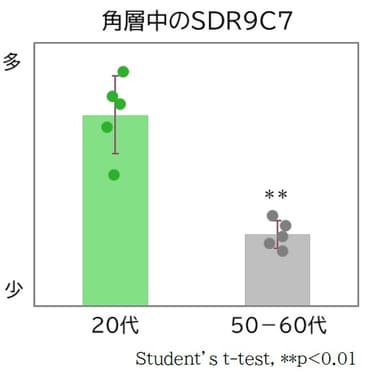 20代及び50-60代女性における「SDR9C7」の量